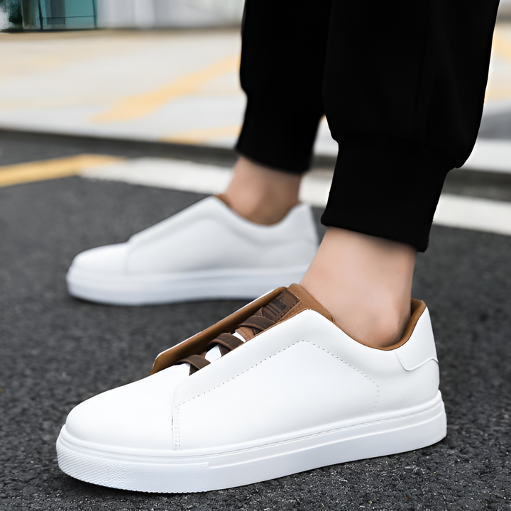 Bernardo | Stylish Sneakers